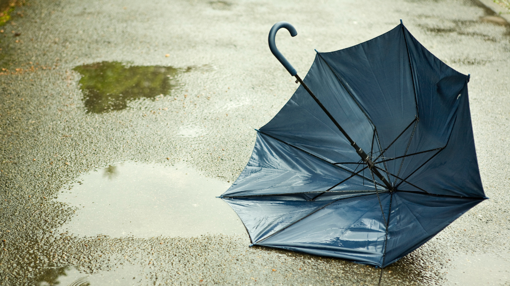 A broken umbrella lying on the ground