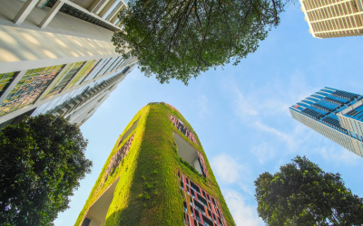New EU Sustainability Rules: Are You Still in Scope?